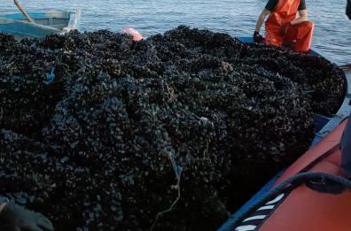 Taranto, in barca cozze e reti da pesca fuorilegge: scattano i sequestri