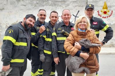 Mesagne, gatto incastrato nel cofano di un’auto: salvato dai vigili del fuoco