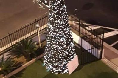 Bari, un albero di Natale per il comitato Santa Rita