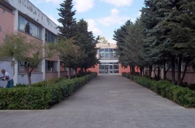 Bisceglie, cadono pezzi di intonaco da pareti liceo Da Vinci: scuola evacuata