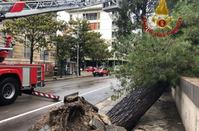 Nubifragio nel Salento, a Novoli spazzato via il lastricato di una Rsa e due strutture tensostatiche. A Lecce albero cade per strada FT/VD 