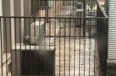 Foggia, guano di piccione sulle aree esterne degli Ospedali Riuniti
