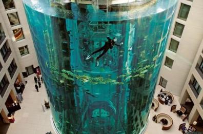 Berlino, esplode enorme acquario in un hotel con 1500 pesci tropicali: due feriti