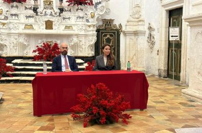 Xylella, per tutelare gli ulivi ad Ostuni anche un designer messicano