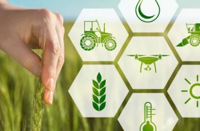La filiera agroalimentare è un paese per giovani se si punta sull'innovazione