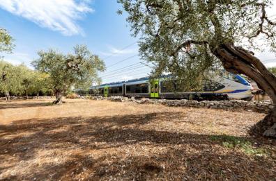 Treni, Regione Puglia affida a Trenitalia tratta Bari-Bitritto