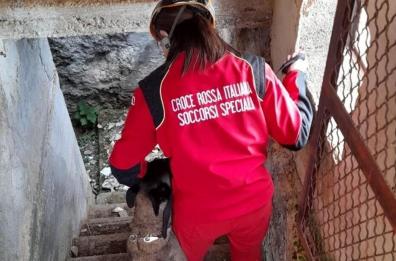 Copertino, giovane mamma scompare nel nulla: scattano le ricerche
