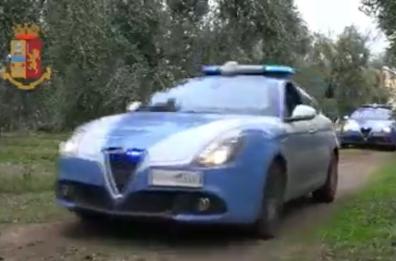 Andria, rubano 50 chili di olive nei campi: in due agli arresti domiciliari