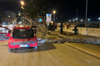 Maltempo a Bari, albero cade su auto per il vento forte: due feriti