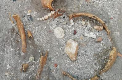 Porto Cesareo, mareggiata riporta alla luce tombe e scheletri