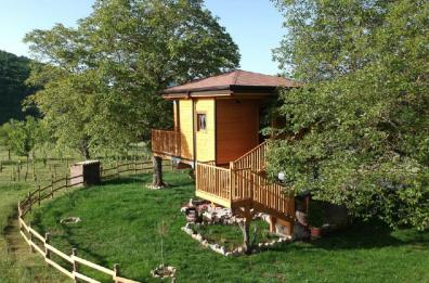 Il sogno di una casa sull’albero diventa realtà a Sasso di Castalda