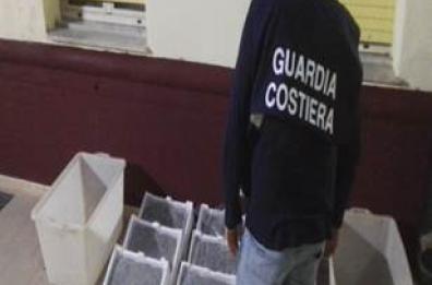 Taranto, in auto 85 chili di «bianchetto»: scattano denuncia e sequestro