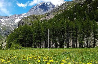 Le fughe in Piemonte di Eleonora e Gabriele