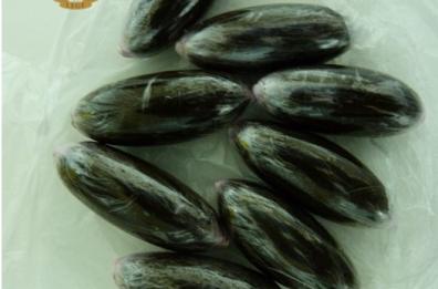 Taranto, arrestato pusher minorenne: aveva con sè 8 ovuli di hashish