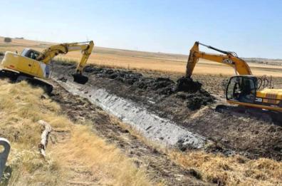 Consorzi, i silenzi irritano gli agricoltori di Andria