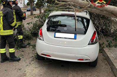 Forte vento a Lecce e provincia: albero cade e schiaccia auto