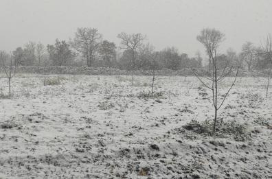Puglia sotto la neve, strade bloccate e raccolti nei campi bruciati dal gelo