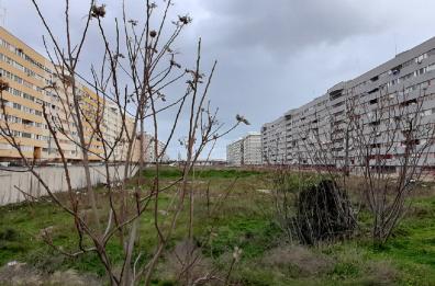 Quartiere San Paolo, una frattura lunga sessanta anni, e Bari resta lontana