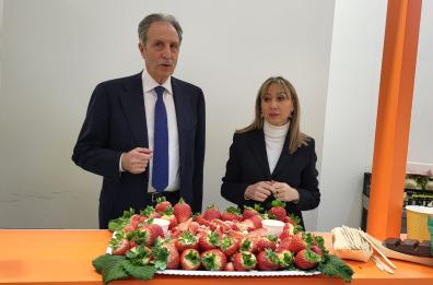 La fragola lucana sarà igp: pronto il logo