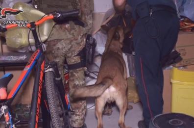Trani, droga ed estorsioni: sei imputati condannati con rito abbreviato