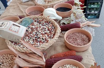 Inflazione: fagioli e lenticchie sempre più «salati»