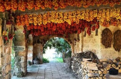 
C’era una volta a «Le Stanzie» nell'incanto del vero Salento
