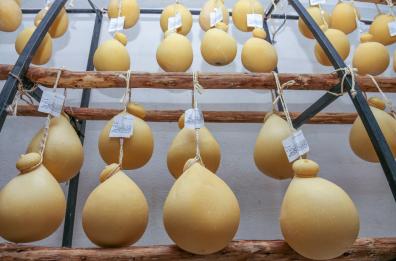 Il caciocavallo silano guida la lucanità a tavola: è il prodotto «made in Basilicata» più conosciuto