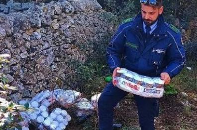 Un quintale di Nutella scaduta abbandonata tra gli ulivi della Valle d'Itria