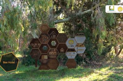 Lecce, nel bosco di Rauccio nascerà il bioparco per le api