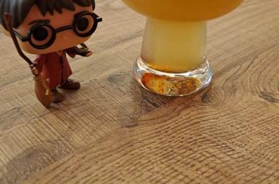 Harry Potter sbarca a Bari: all'Hogwarts Cafè BurroBirra e Pozione Polisucco