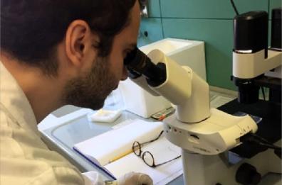 Brindisi, biologi contro la riforma: «Accentua il precariato della categoria»