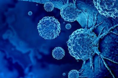 Fratelli d'Italia Puglia, sì al diritto all'oblio per i pazienti oncologici guariti