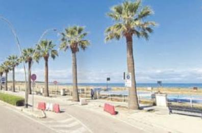 Barletta, a Ponente la fioriera è fantasma