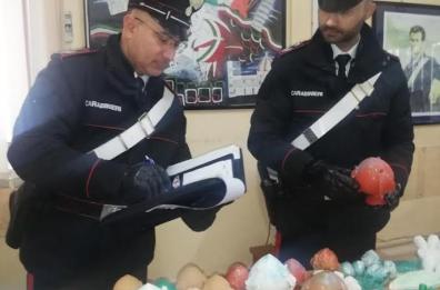 In un negozio di cinesi i pumi rubati a un ceramista di Grottaglie