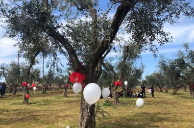 Martano, inaugurato l'uliveto della memoria per le vittime di femminicidio