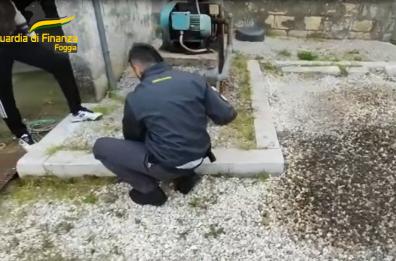 Frodi sui carburanti nel Foggiano: 11 arresti, sequestri per 5 milioni di euro. Operazioni da 27 società inesistenti