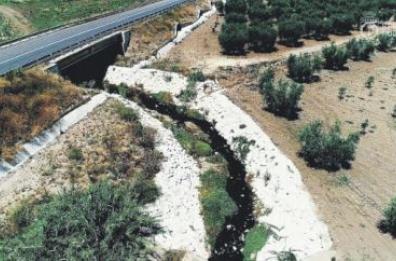 Bari, l'indagine: «Archiviare Sannicandro e Campanelli. Anche Guadagnolo smentì le pressioni»