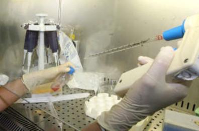 Il Perrino di Brindisi riferimento per i trapianti di cellule staminali