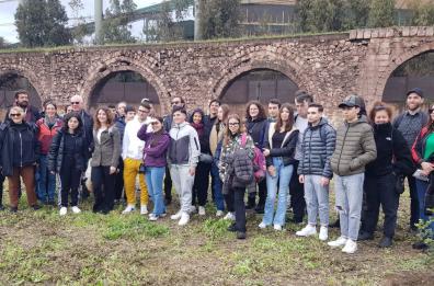 Taranto, con il progetto Phytotech gli alberi «mangiano» le sostanze inquinanti 