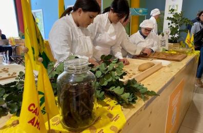 Puglia, contro la crisi ecco la farina di carrube: i ragazzi diversamente abili preparano le orecchiette