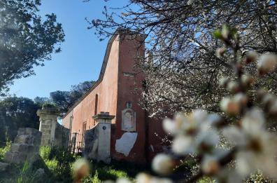 Aria di primavera nel piccolo mondo antico della campagna salentina

