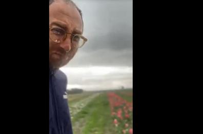 Grandine distrugge i tulipani, floricoltore di Foggia in lacrime sul web. Si apre la raccolta fondi