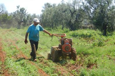 Annus horribilis dell’agricoltura lucana: «Raccolti dimezzati e prezzi alle stelle»