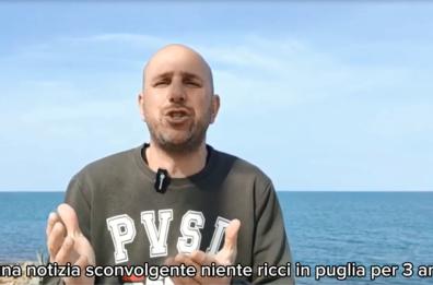 I selfie con i ricci di mare sono salvi