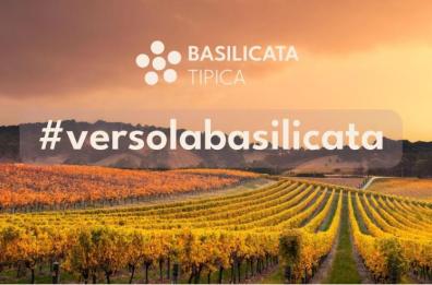Basilicata protagonista al Vinitaly di Verona: 17 aziende per promuovere il territorio