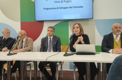 Un’unica voce per il vino: nasce il Distretto di Puglia