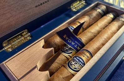 Da Bari a Cuba parla la «regina» dei sigari: «Sogno un festival a Bari»