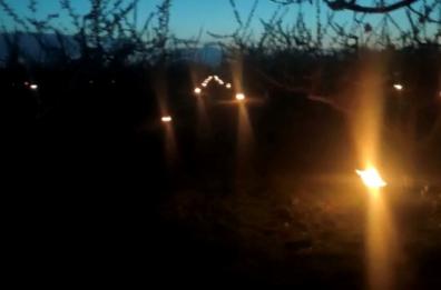 Puglia, vento e gelo sulle fioriture primaverili: si accendono fuochi notturni per scaldare i frutteti