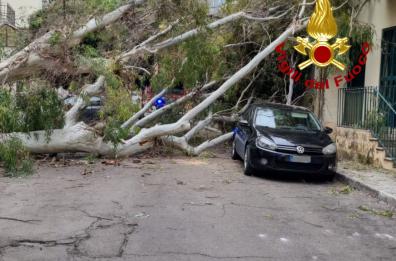 Puglia nella morsa del vento: a Lecce un albero si abbatte su un'auto