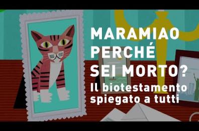 Testamento biologico, al via anche in Puglia la campagna informativa